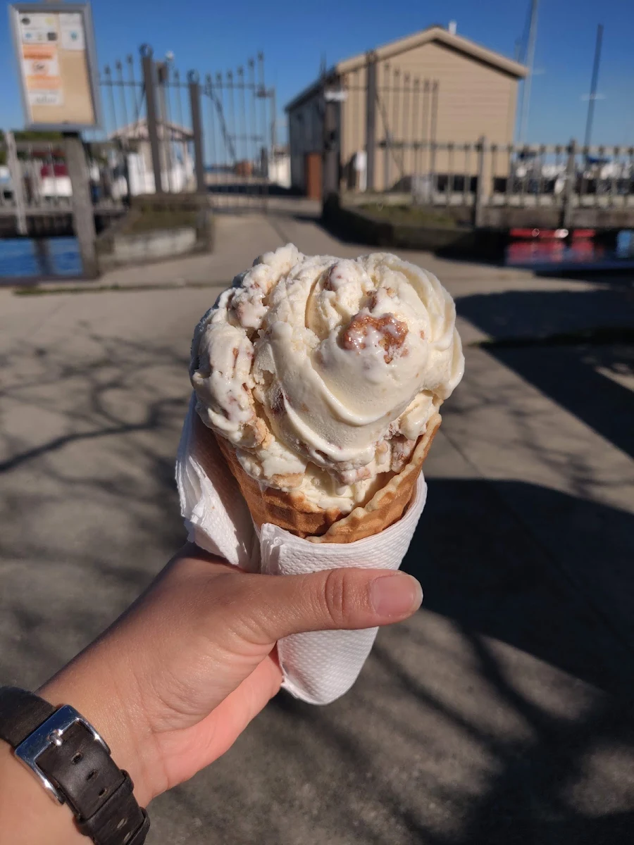 Cinnamon Vanilla Ice Cream