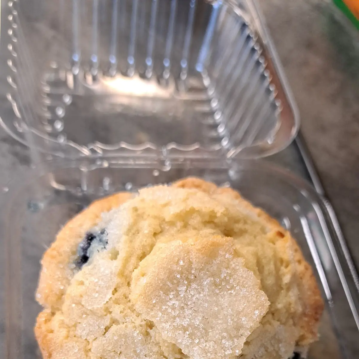 Blueberry Muffin