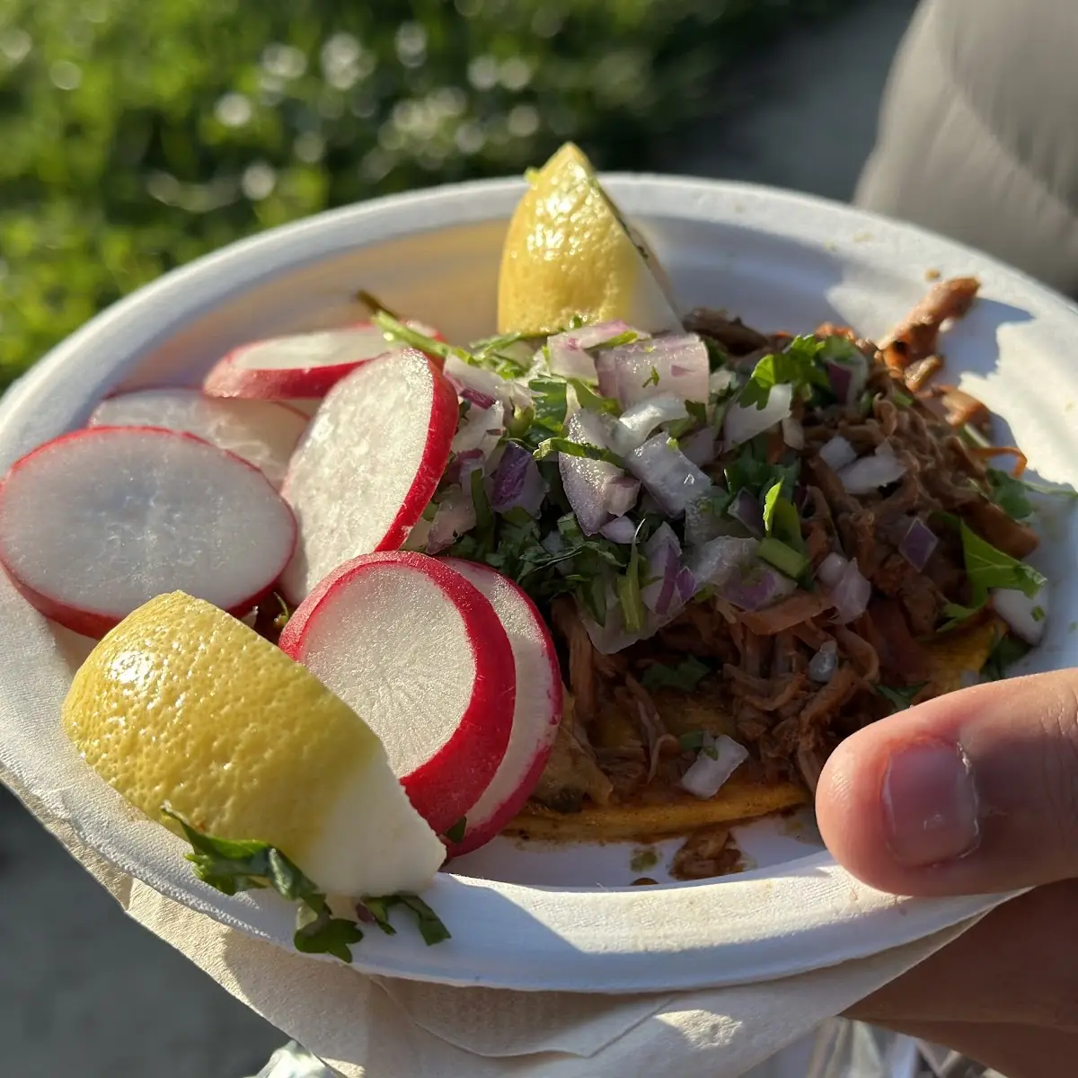 Birria Tacos