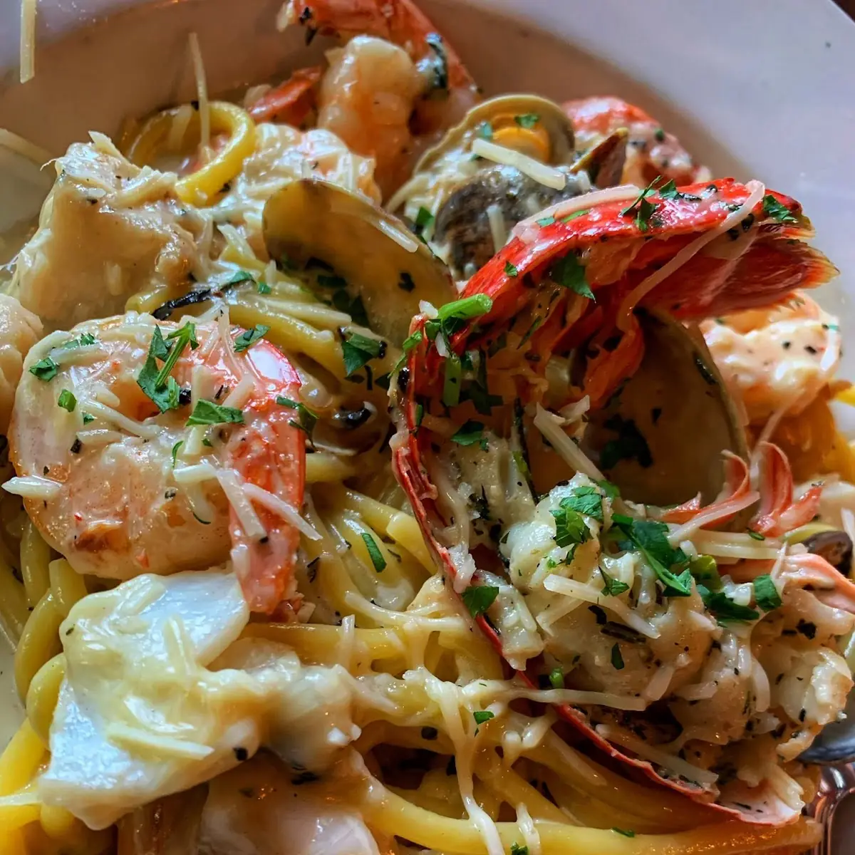 Misto Mare Alfredo