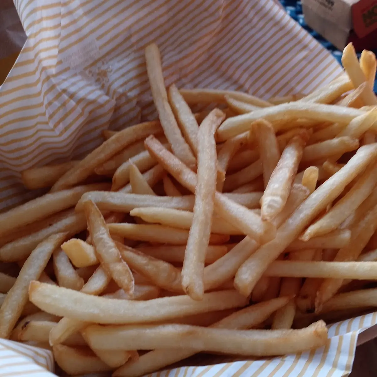 World Famous Fries