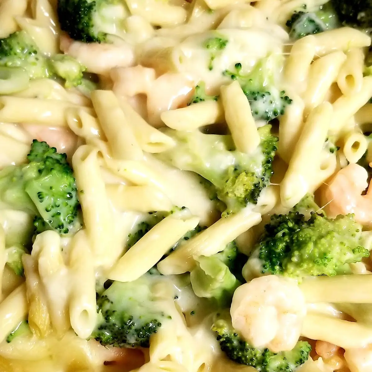 Chicken Broccoli Alfredo