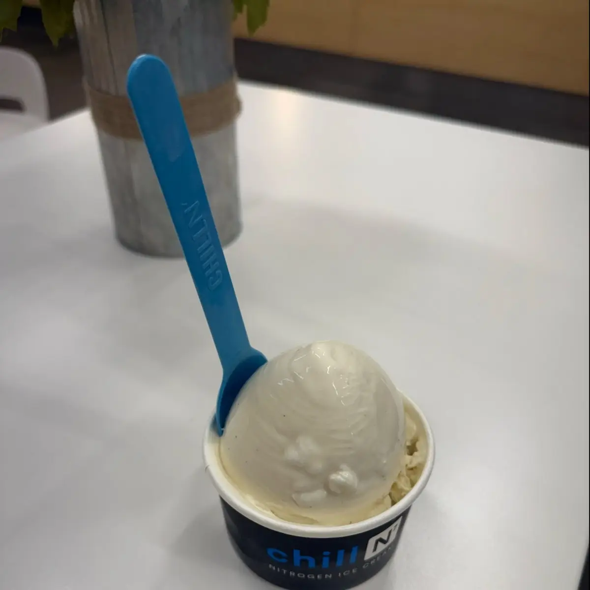 Chill-Out Vanilla Bean Pint