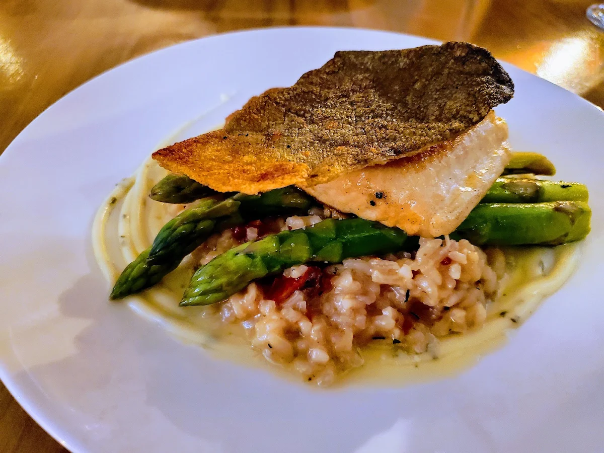 Canadian Arctic Char