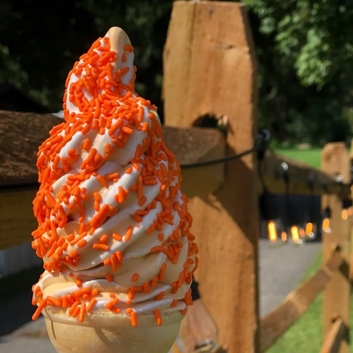 Soft Serve