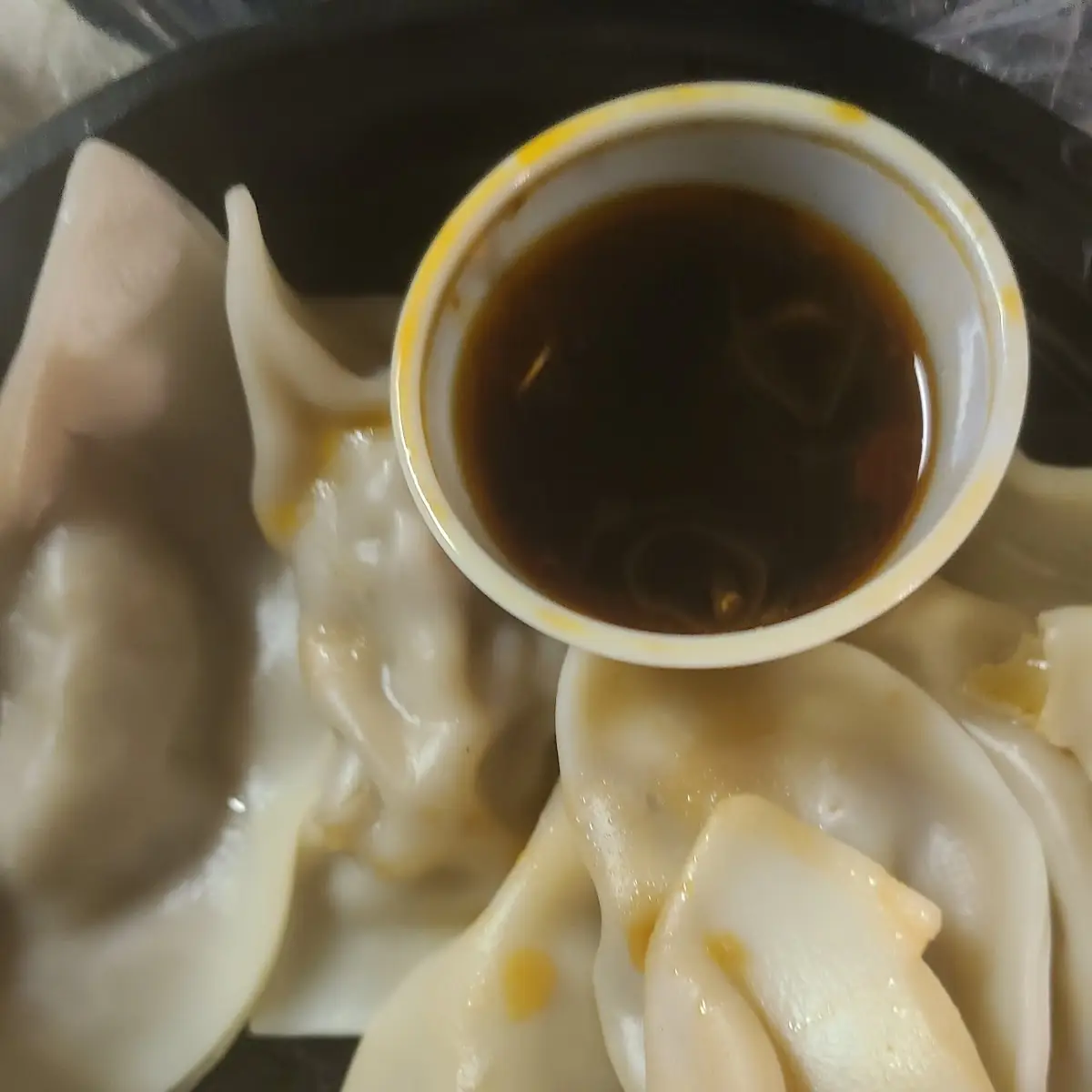 Fried or Steamed Dumplings