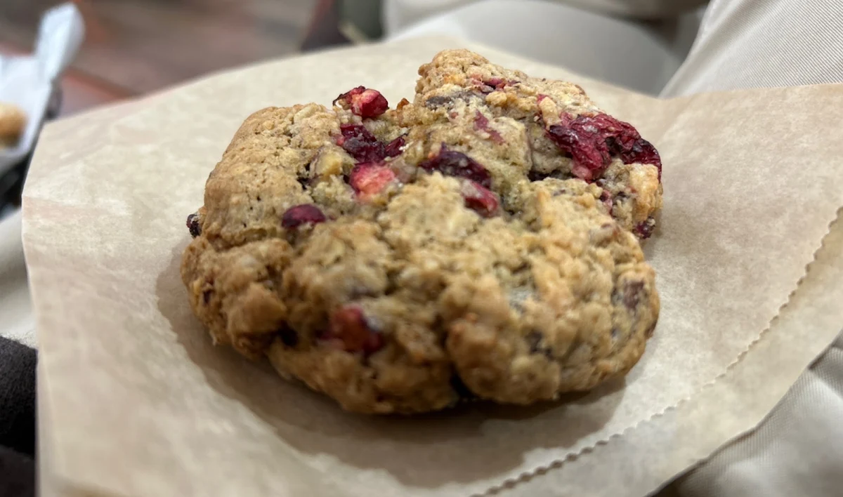 Cranberry Chocolate Chip
