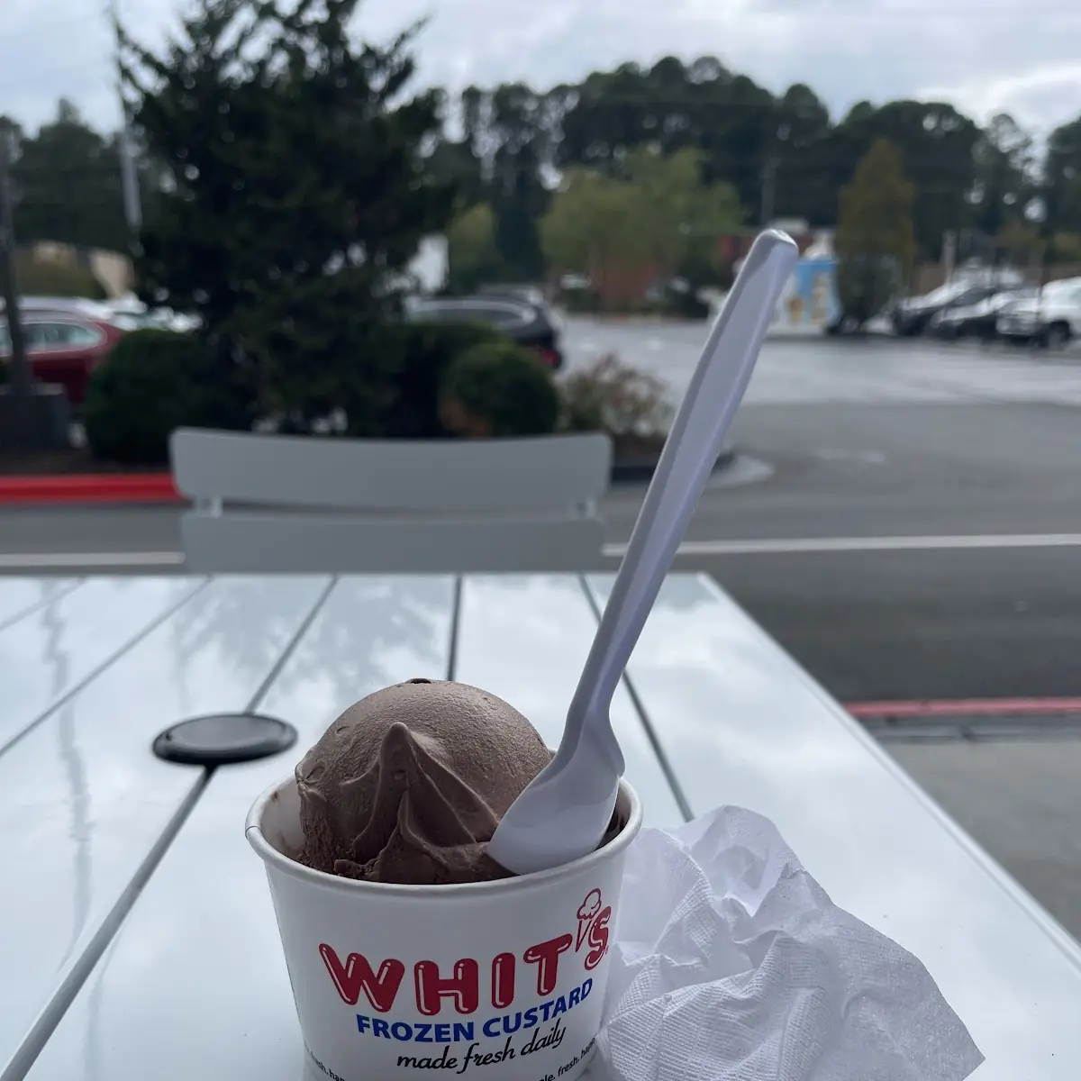 Chocolate Frozen Custard