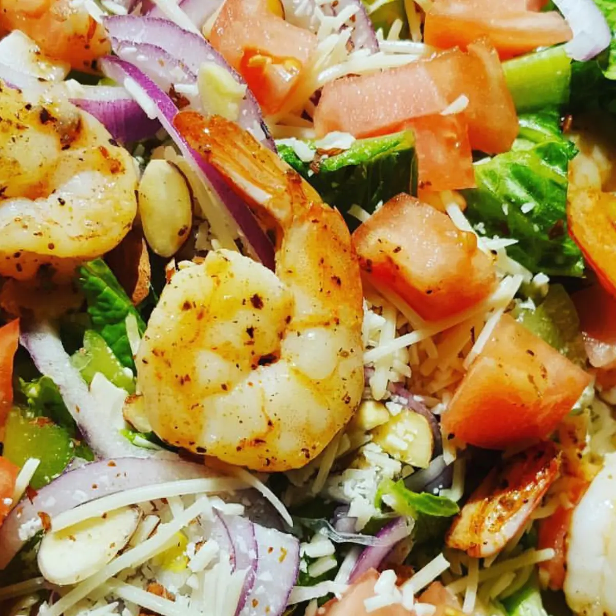 Grilled Shrimp Salad
