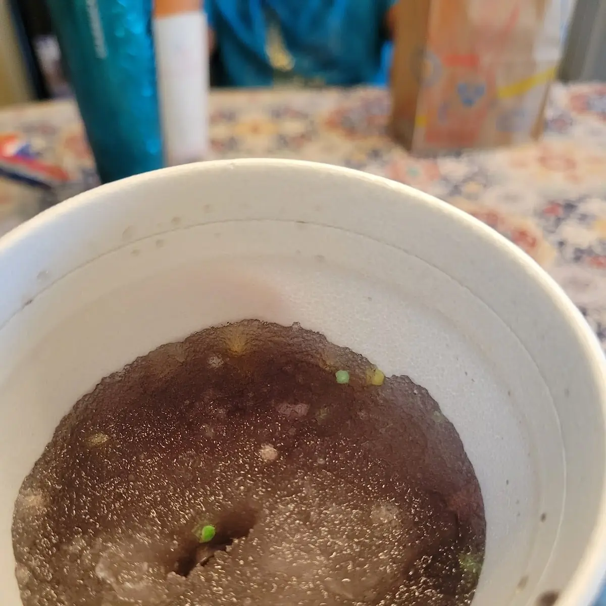 Grape Slush