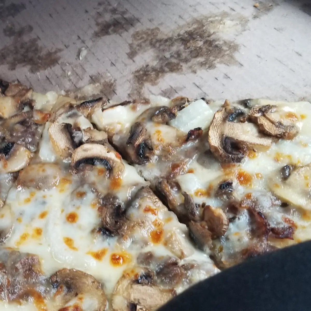 Thin Crust Philly