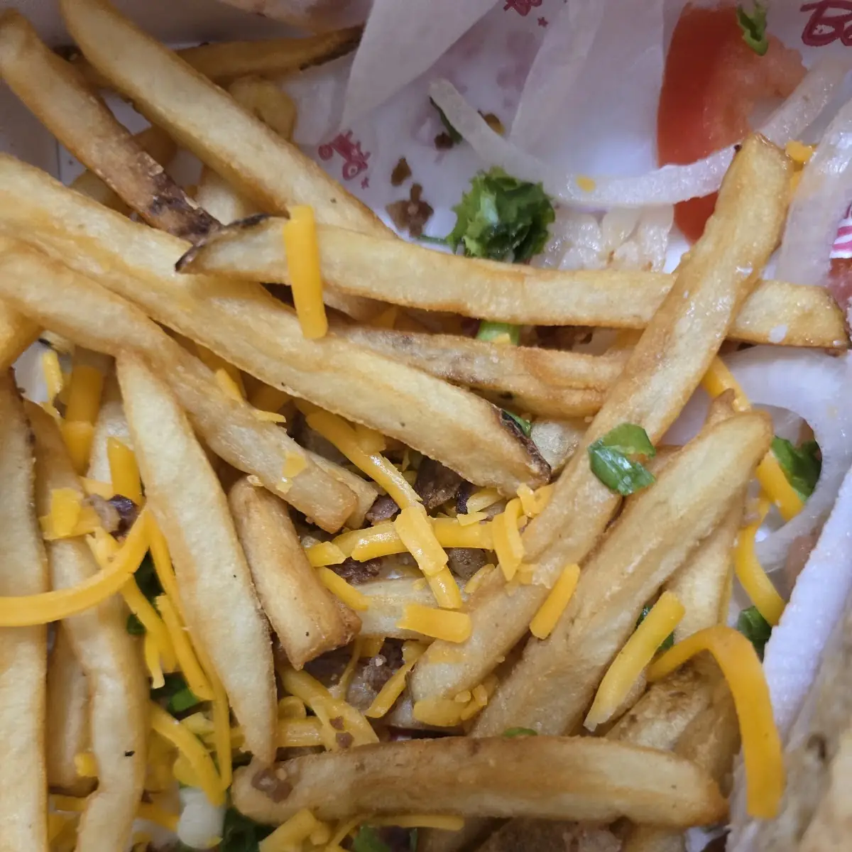 Loaded Fries