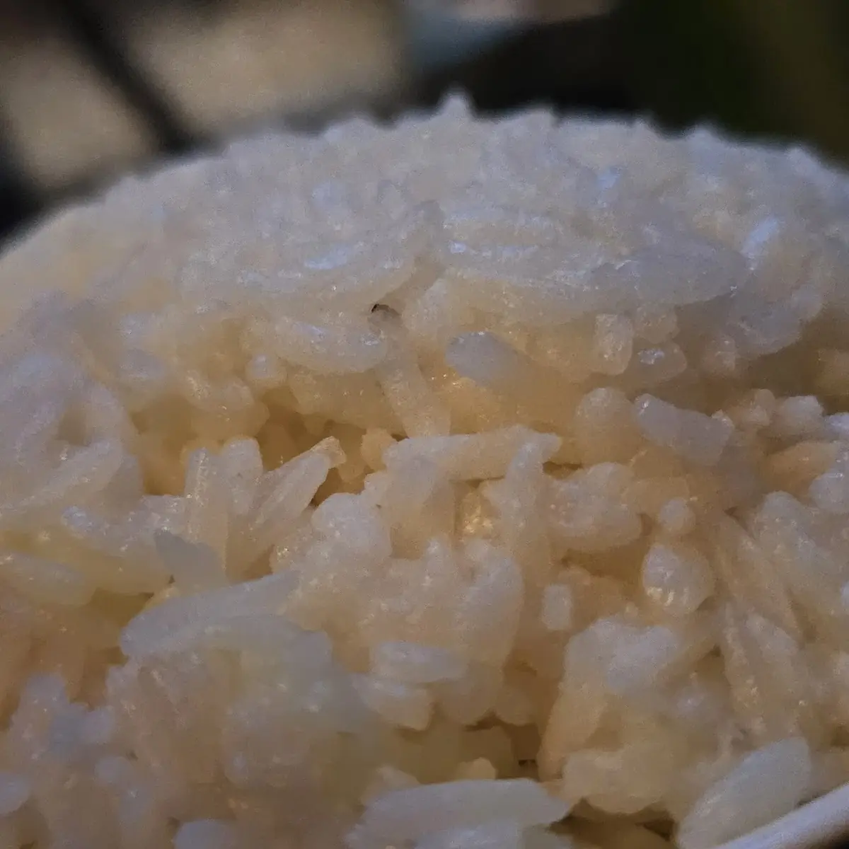 White Rice
