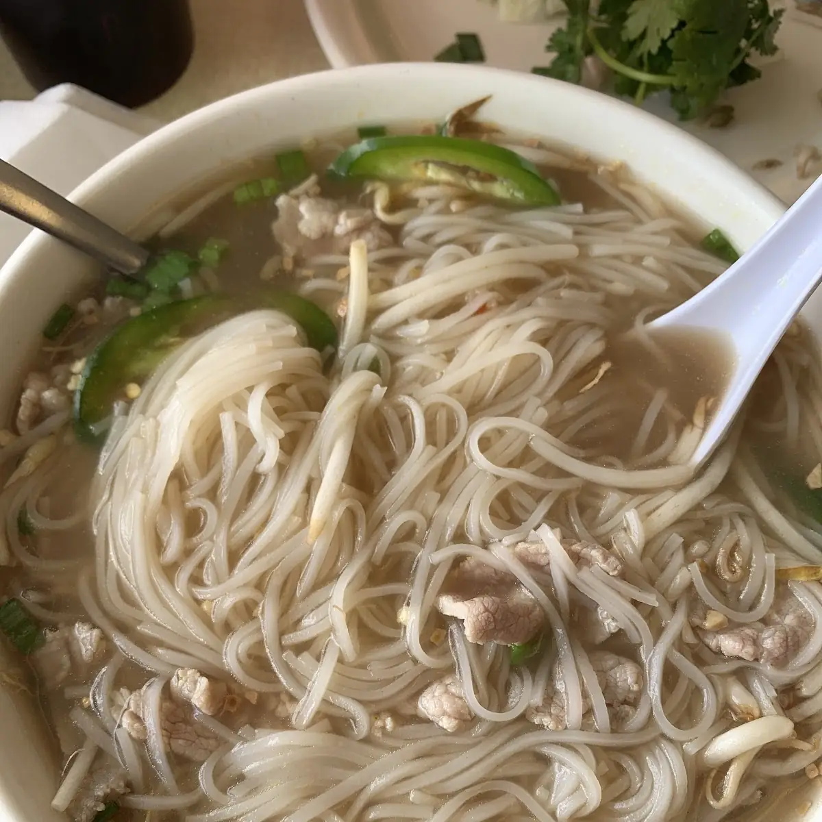 Vietnamese Noodle Soup Pho