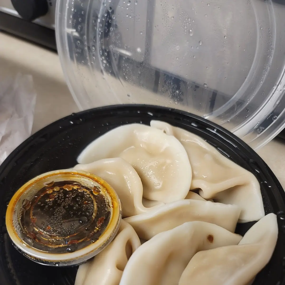 Fried or Steamed Dumplings
