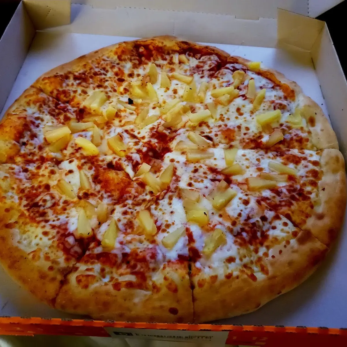 Pineapple and Cheese Pizza