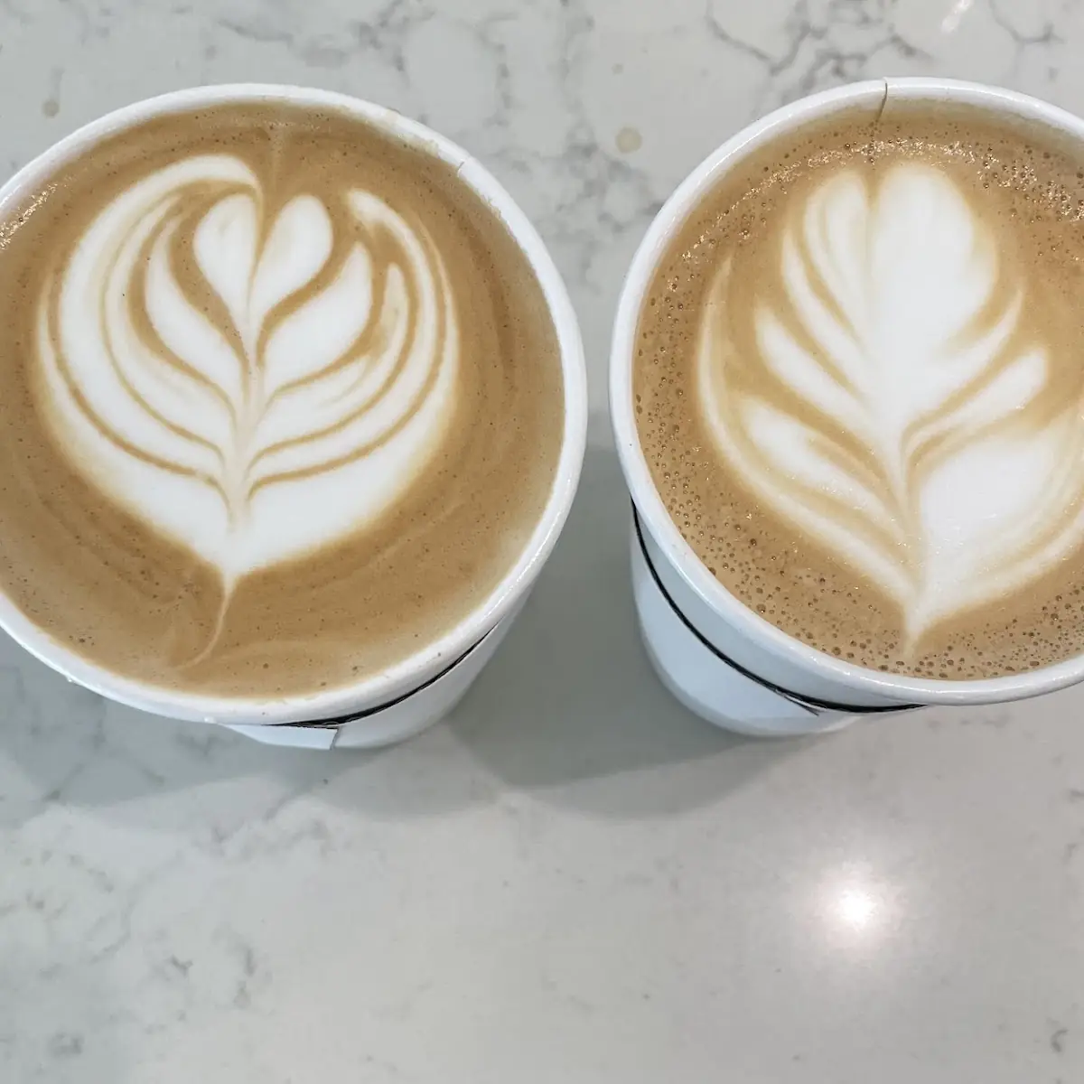 Sugar-Free Vanilla Latte