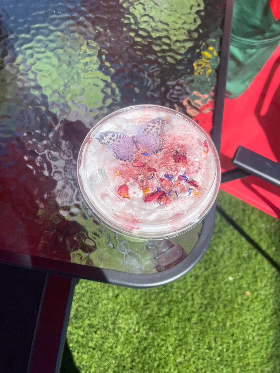 Iced Matcha Latte