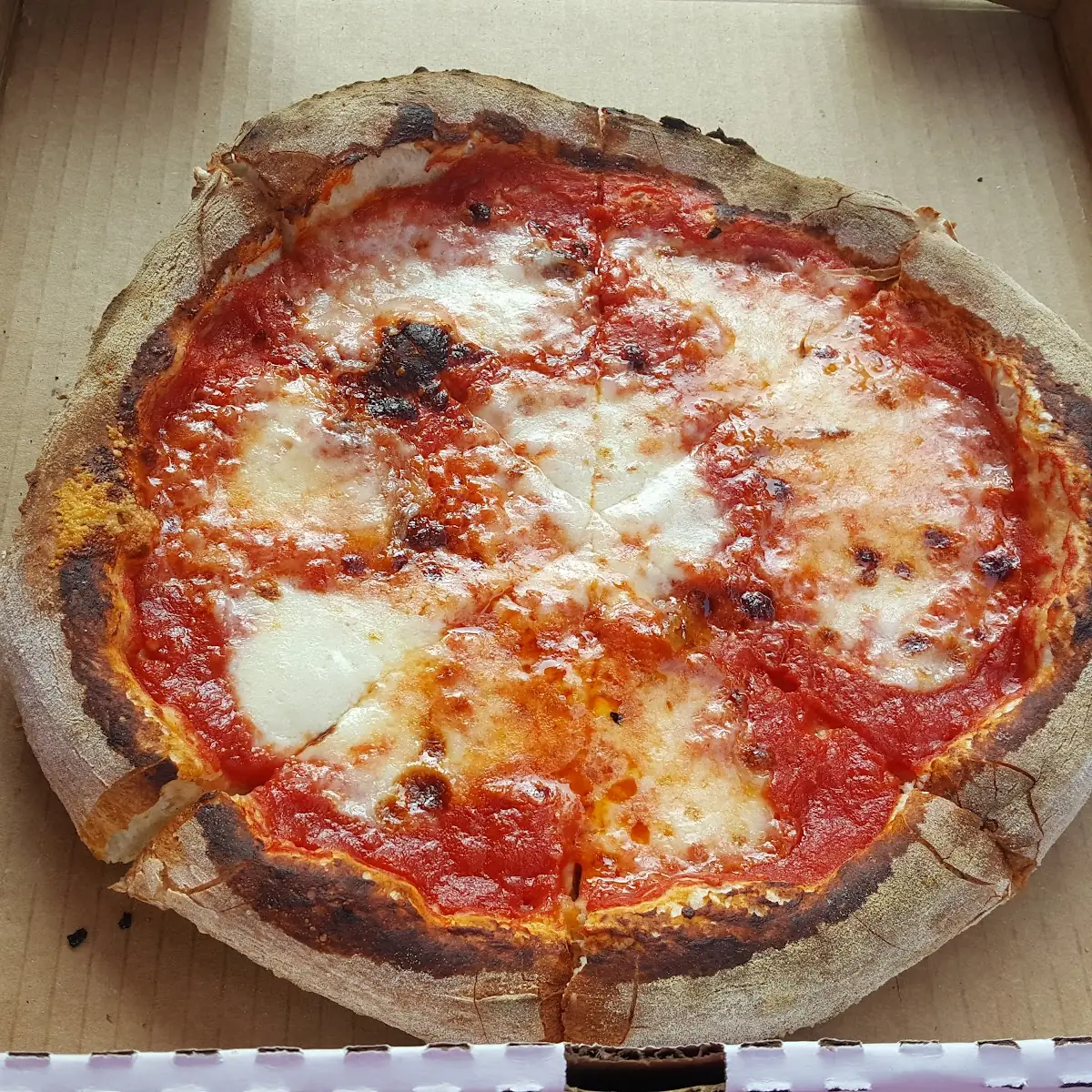Margherita Pizza