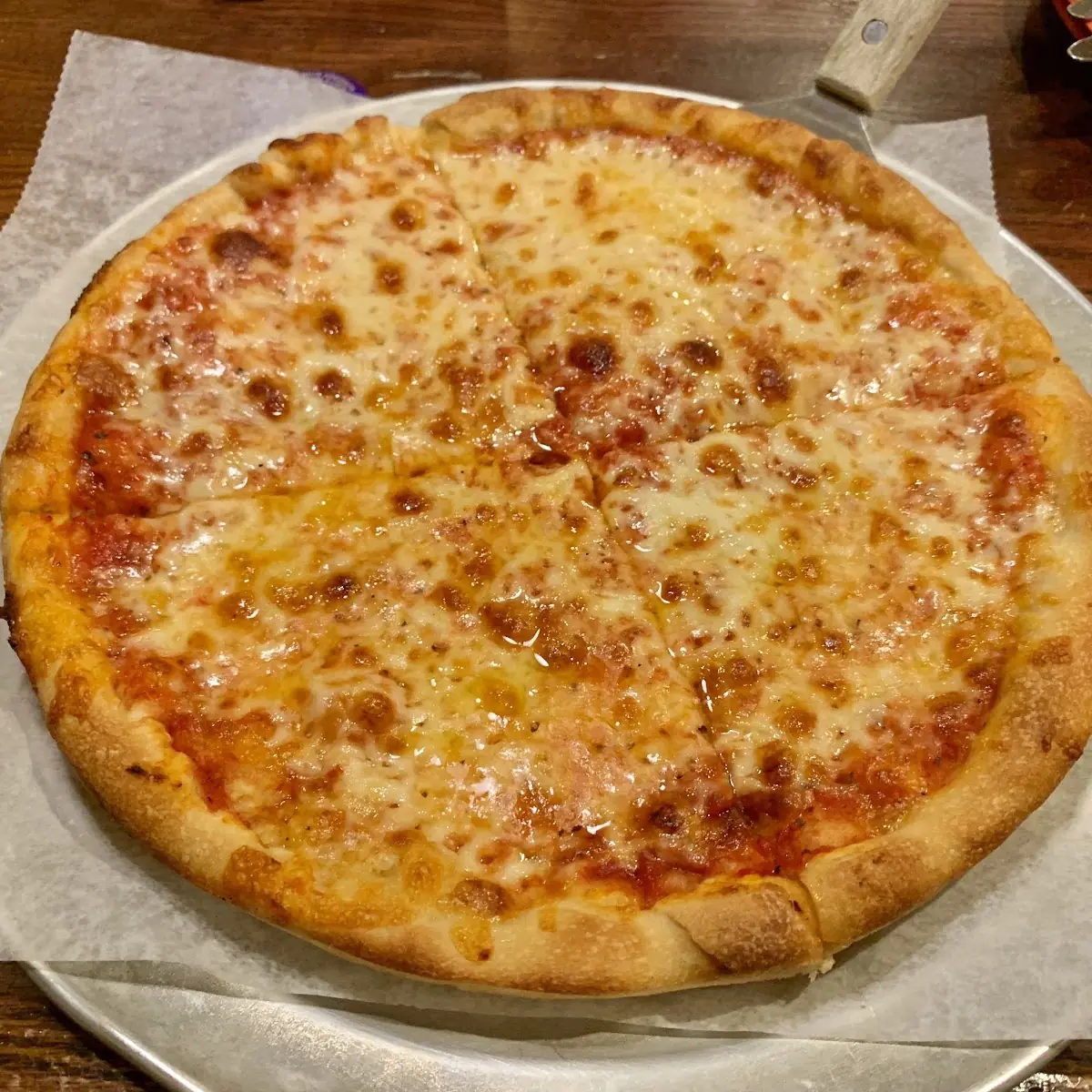 Large Cheese Pizza with Extra Sauce