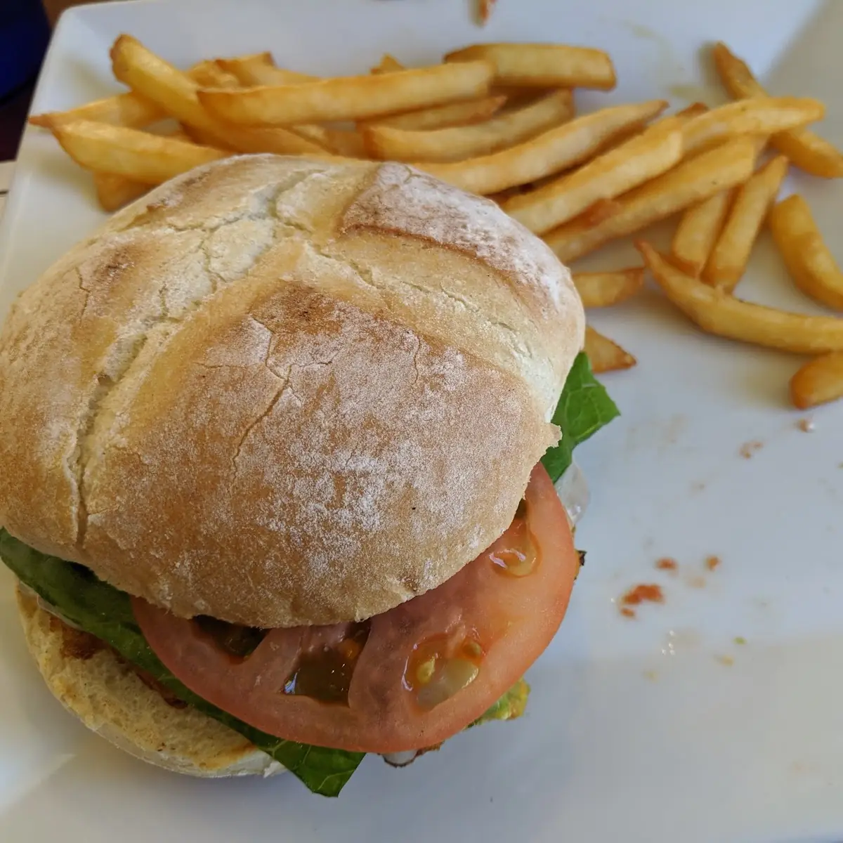 Veggie Burger with Fries