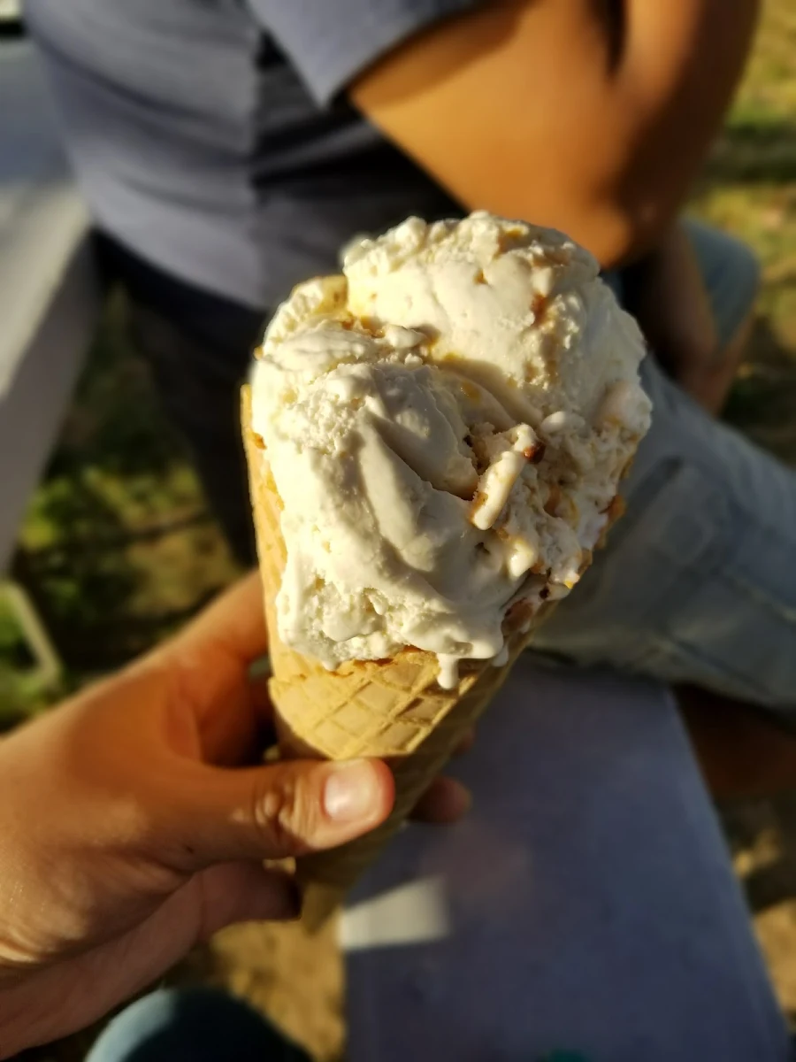 Gelato