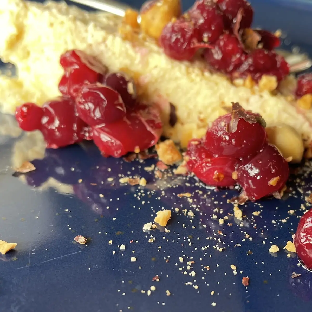 Cheese Cake with Cranberries