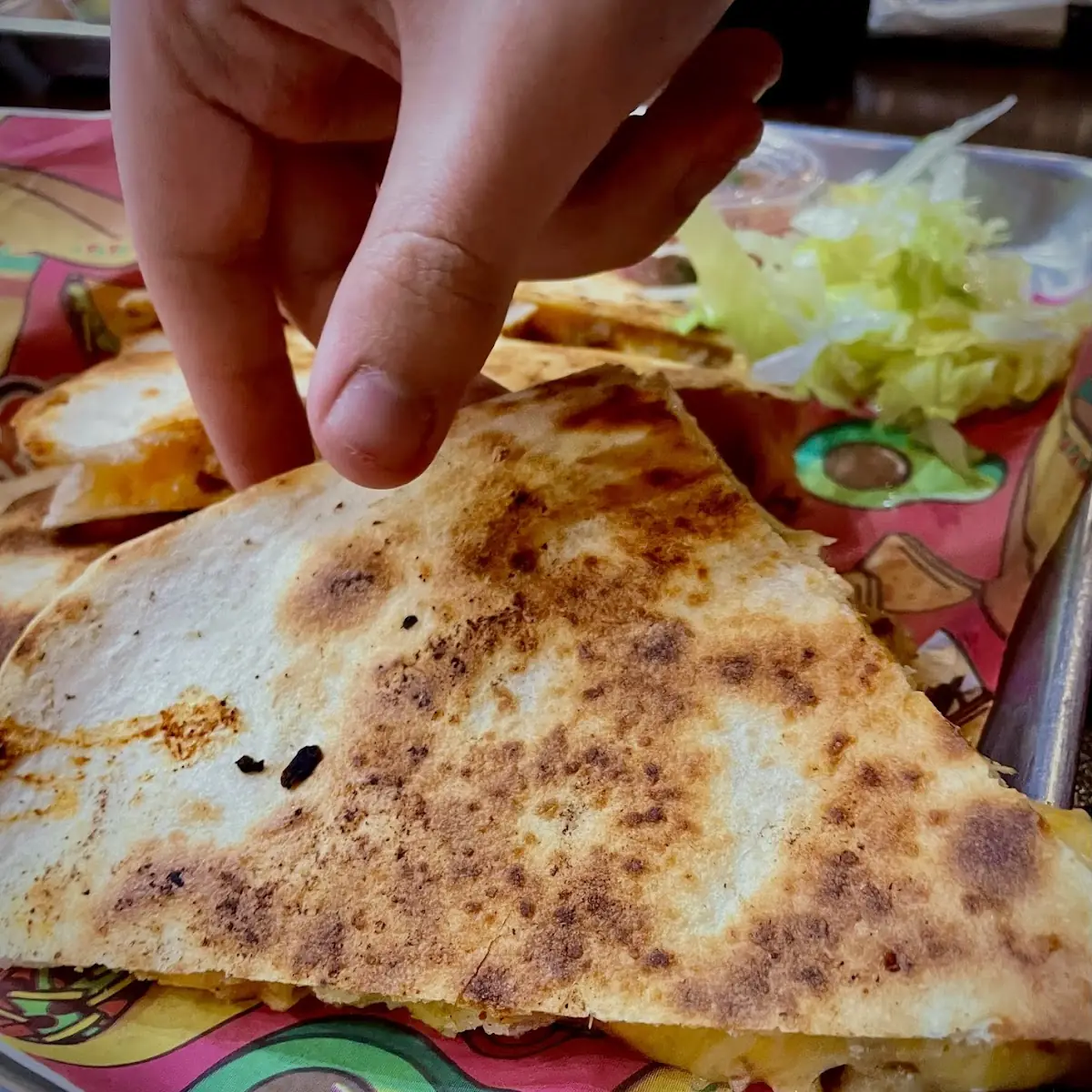 Chicken Quesadilla