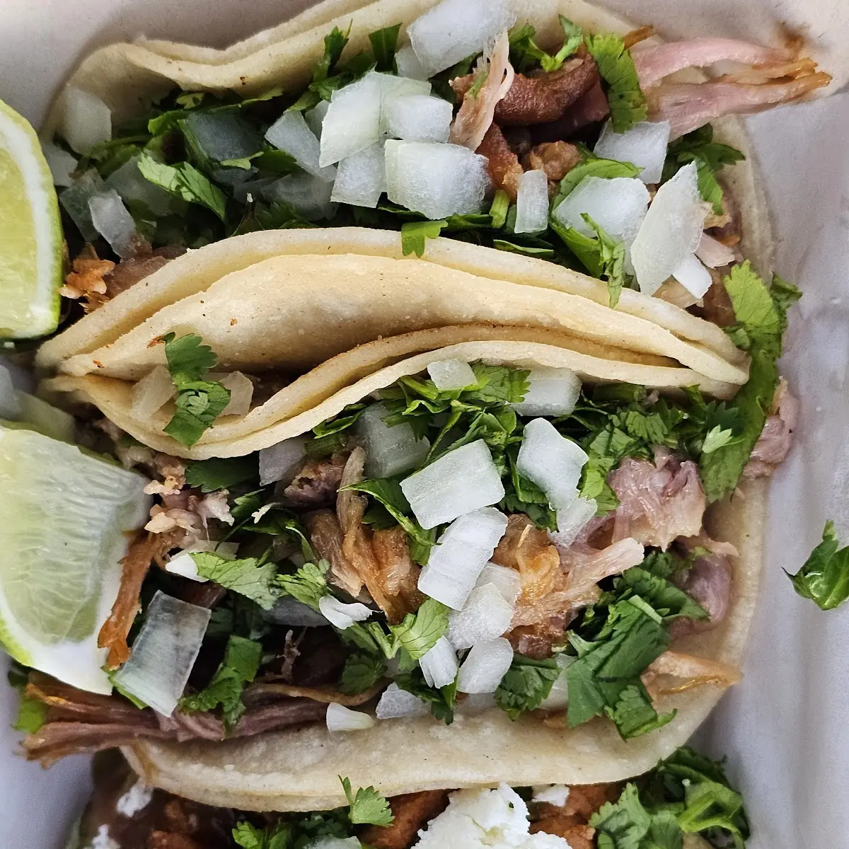 Carnitas Tacos