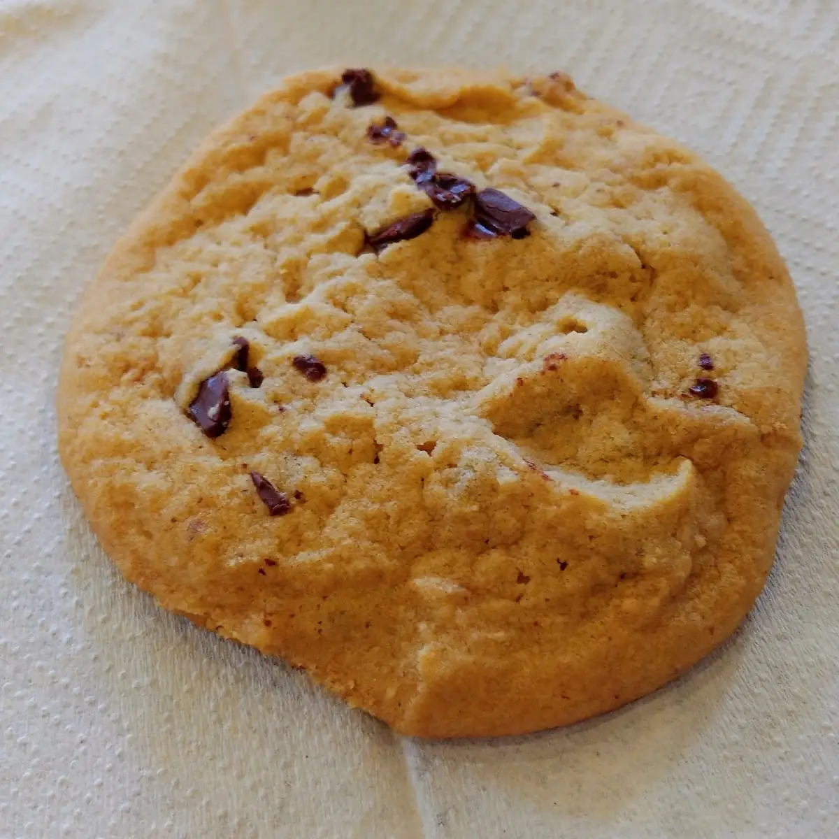 Chocolate Chip Cookie