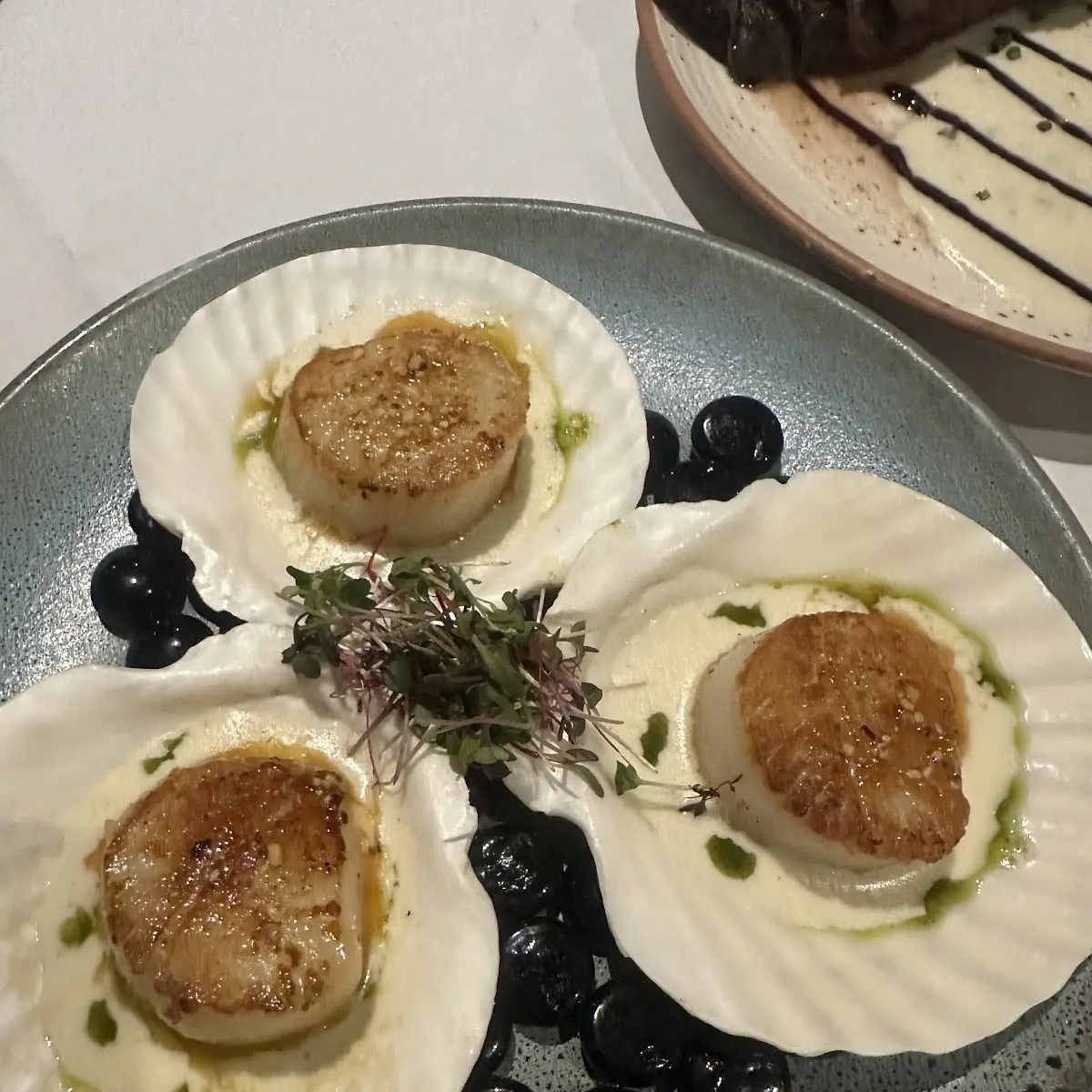 Pan Seared Scallops Appetizer