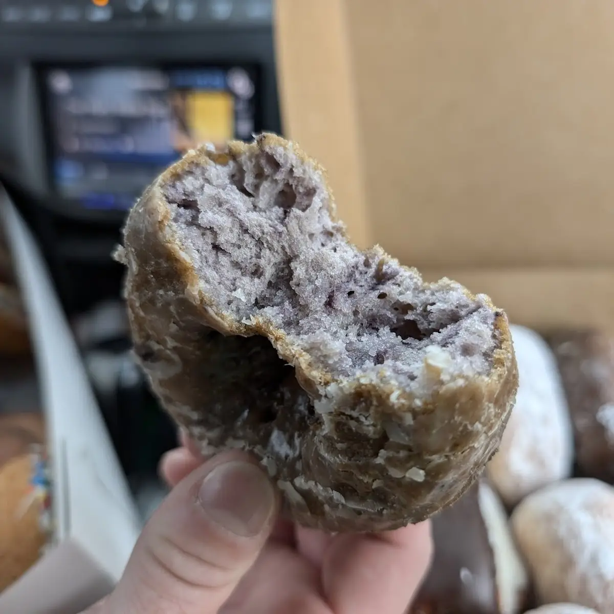 Blueberry Donut