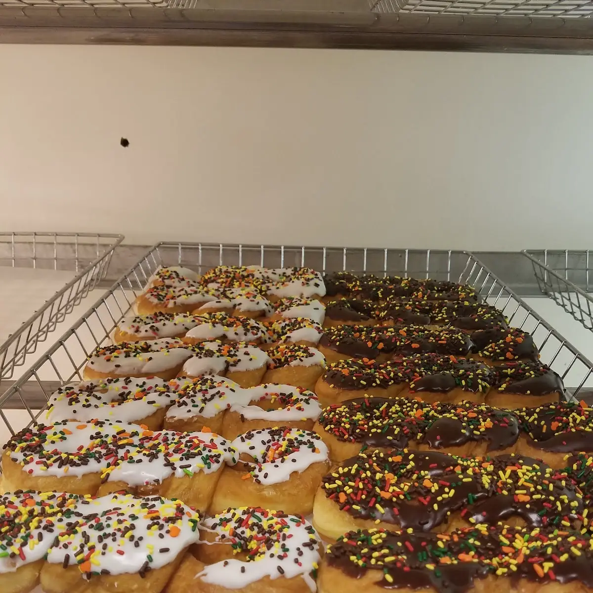 Doughnut