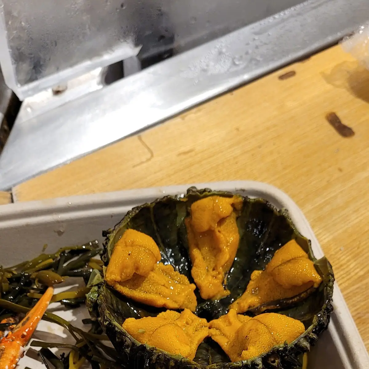Uni Sea Urchin