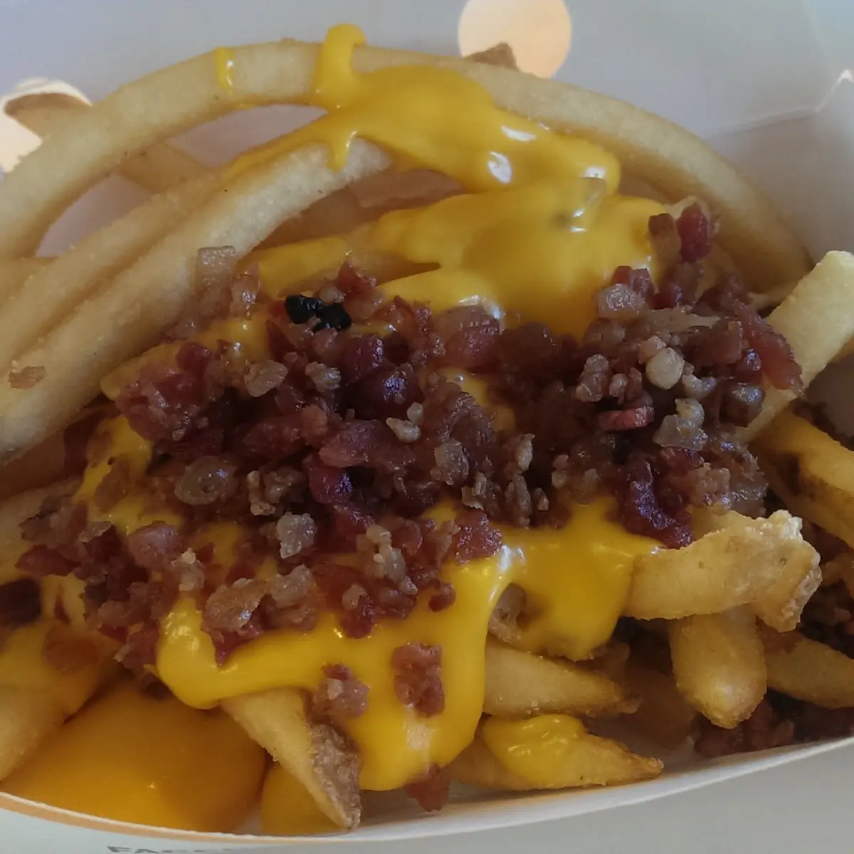 Bacon Cheddar Fries