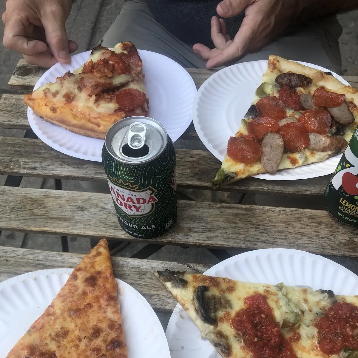 Cheese Pizza and Vegi Pizza
