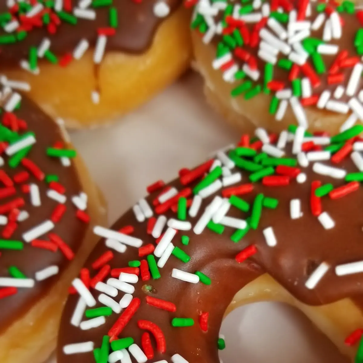 Chocolate Glazed Donut with Sprinkles