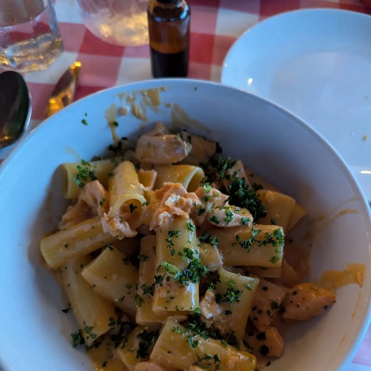 Rigatoni Vodka and Salmon