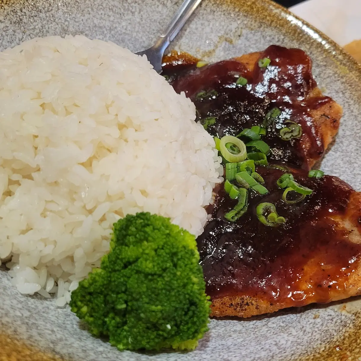 Teriyaki Salmon Rice Bowl