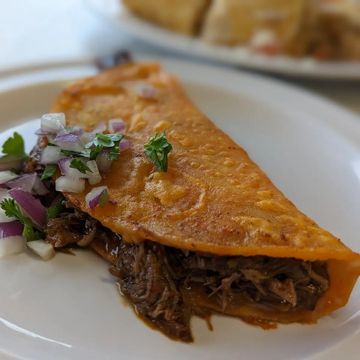 Birria Taco