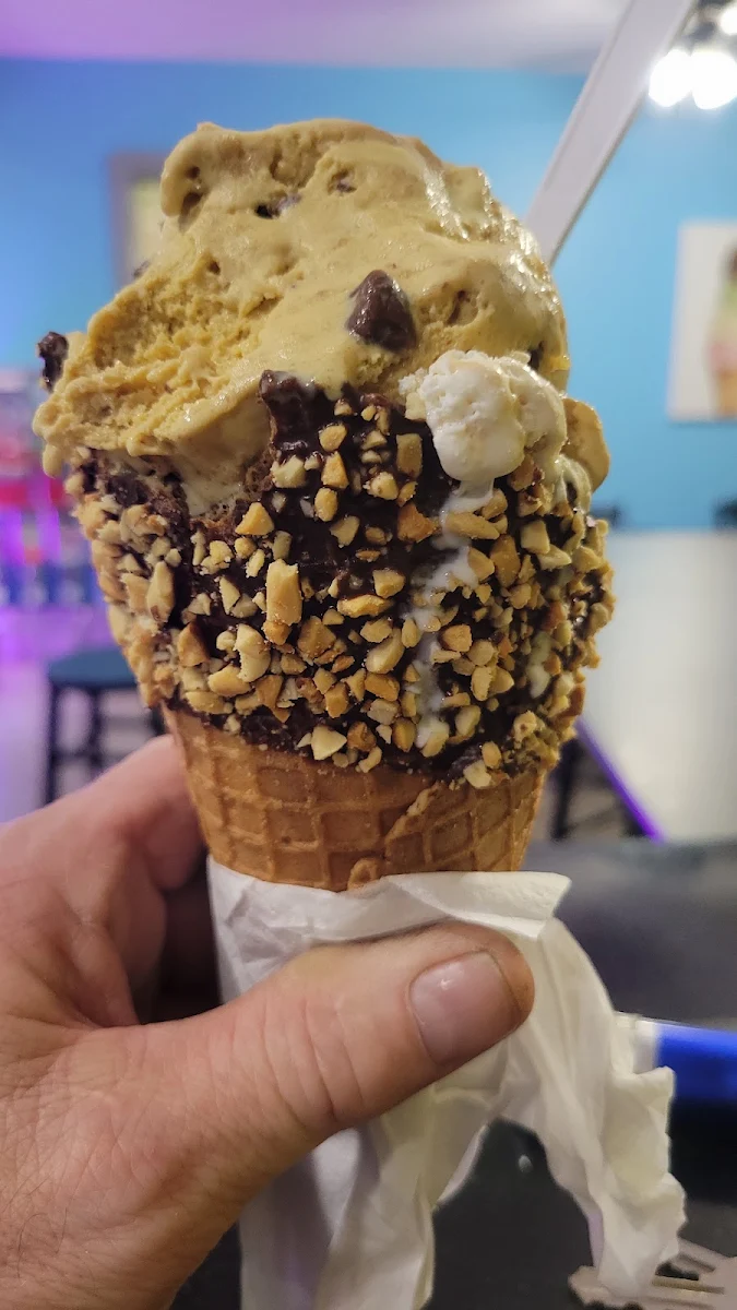 Graham Cracker Crunch Ice Cream