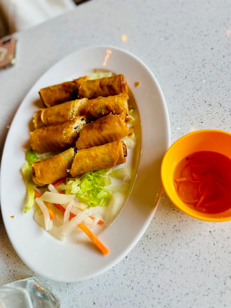 V Vegetarian Spring Rolls Vermicelli, Pho Phat