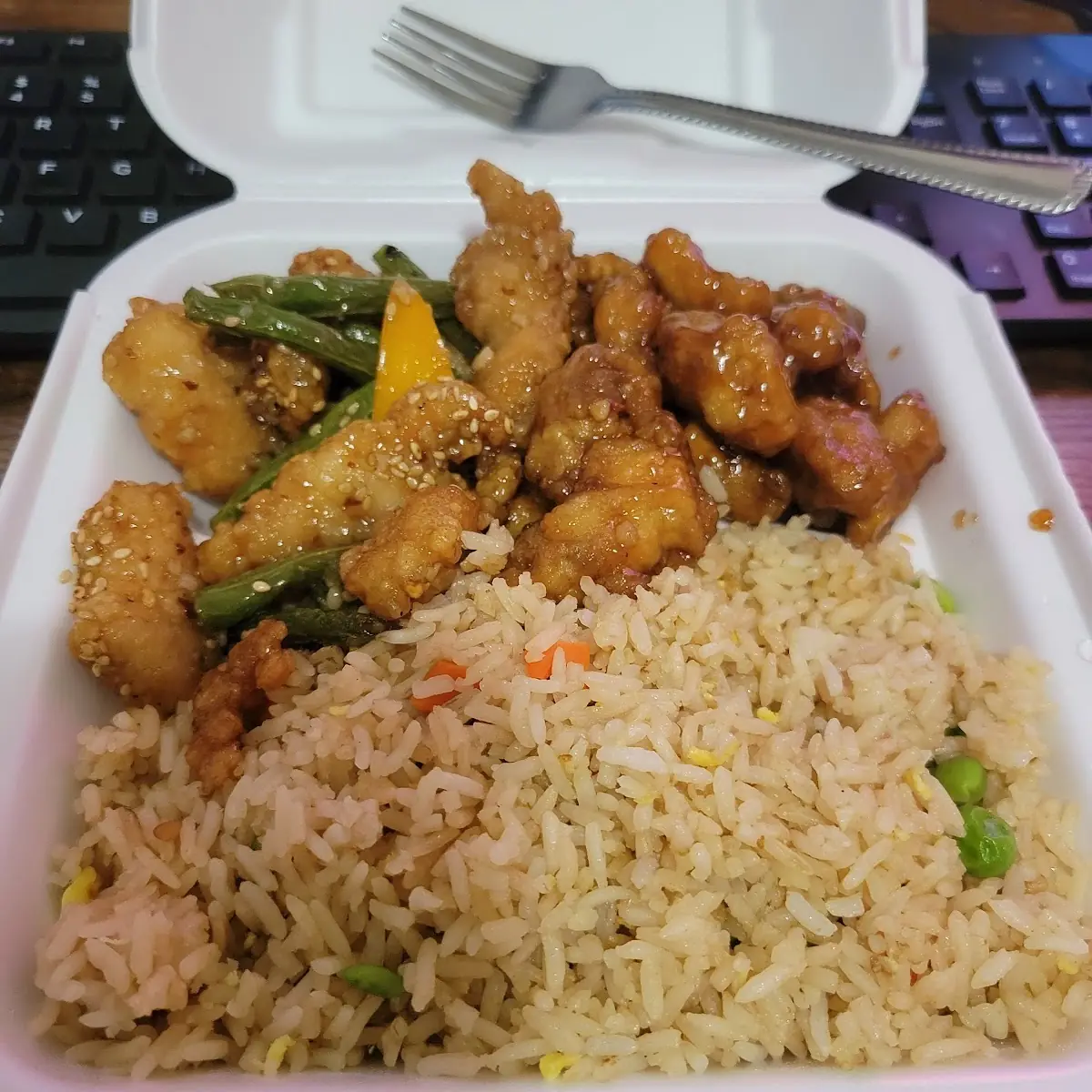 Orange Chicken Honey Chicken Fried Rice