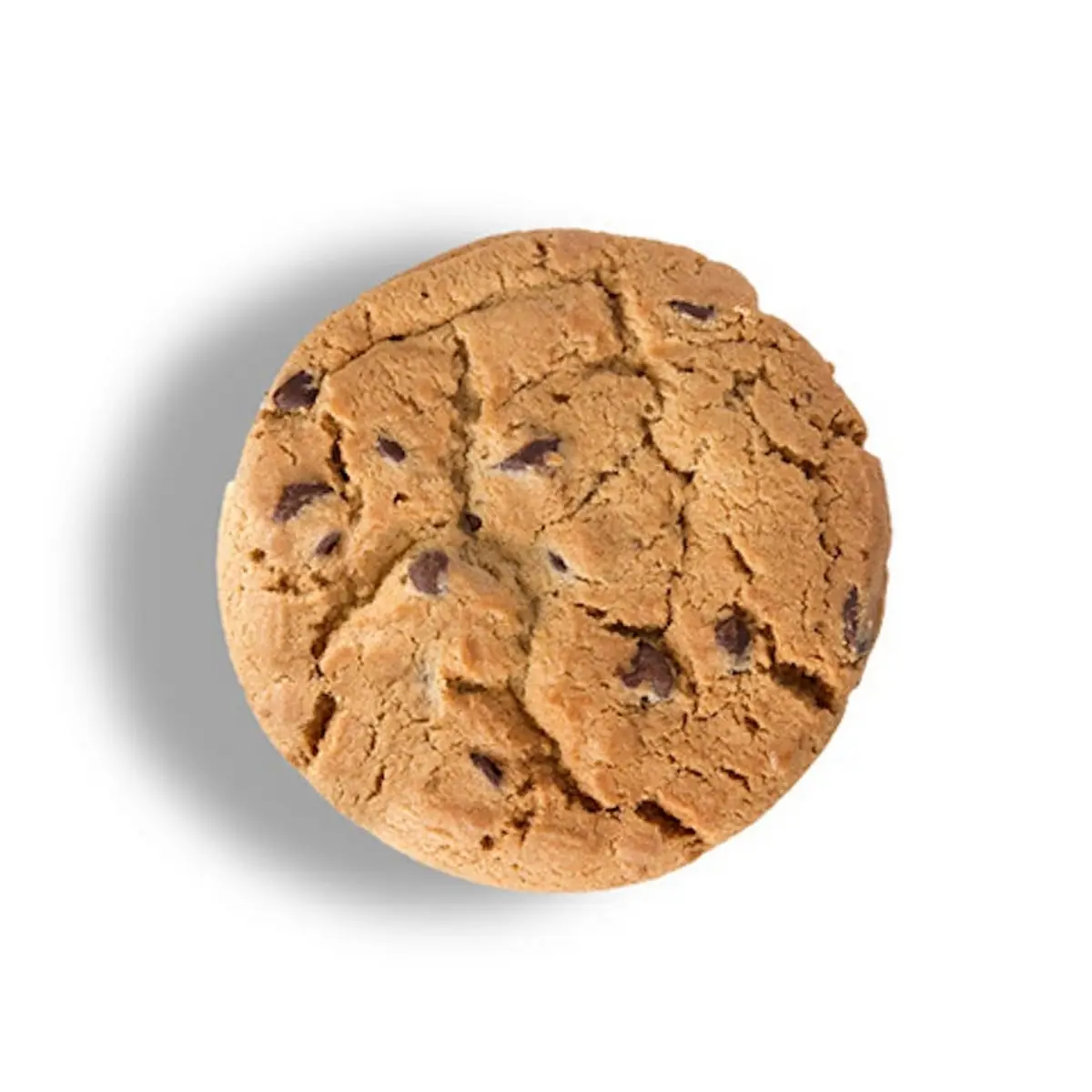 Chocolate Chip Cookie