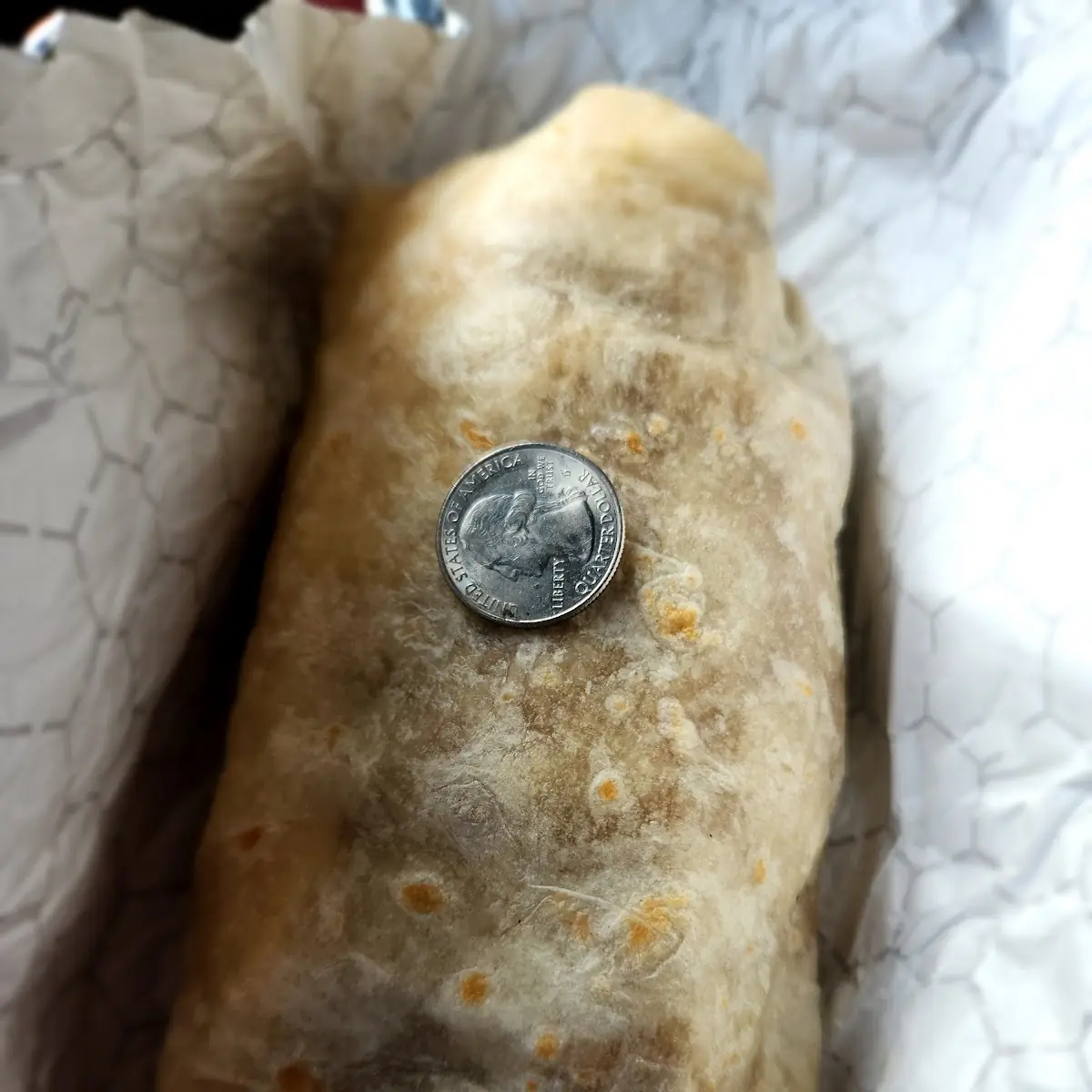 A Massive Carnitas Burrito