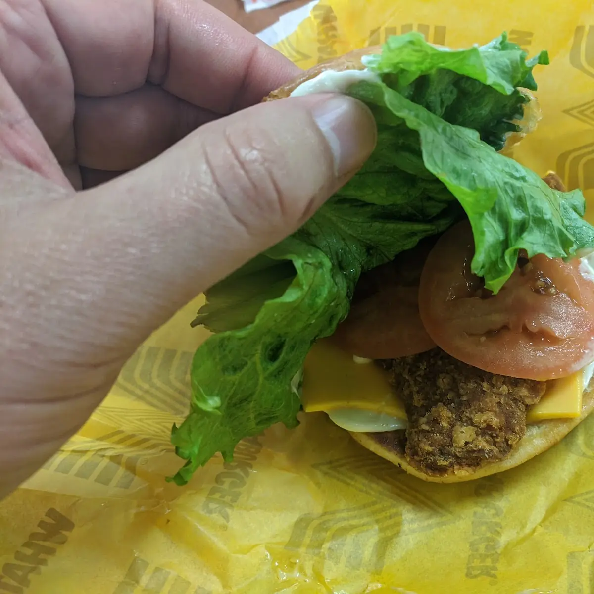 Spicy Chicken Sandwich