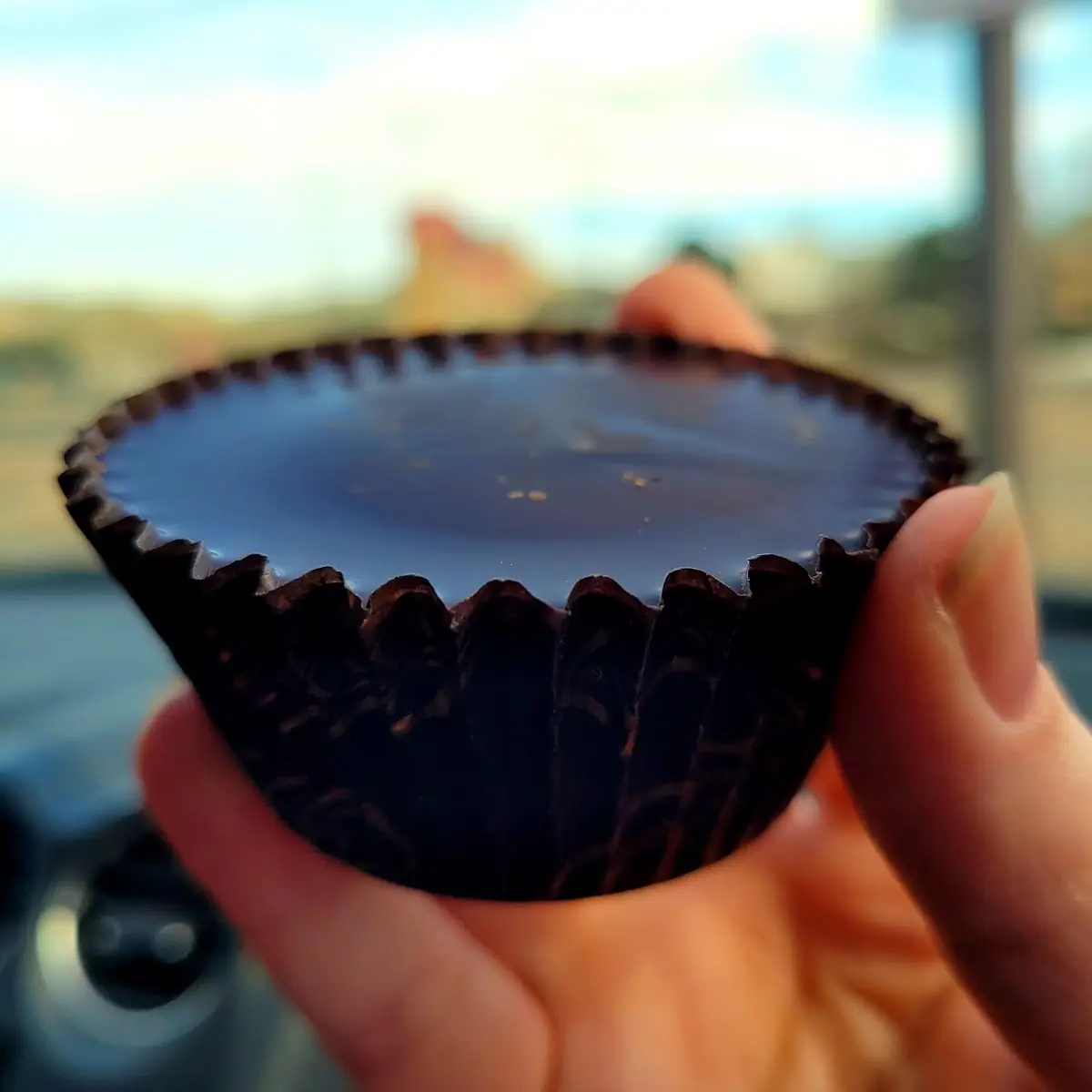 Dark Chocolate Peanut Butter Cup