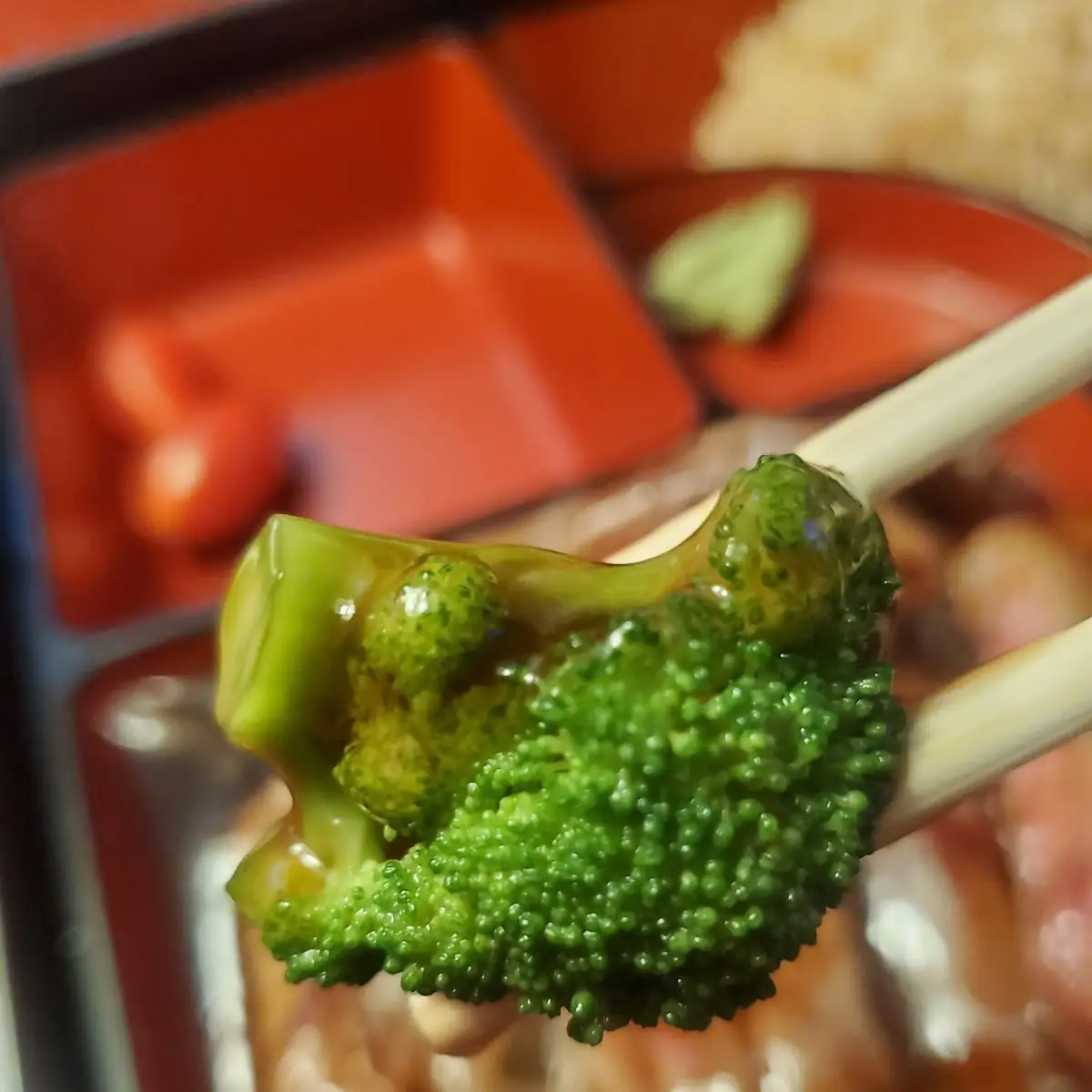 D Teriyaki Steak Bento Box