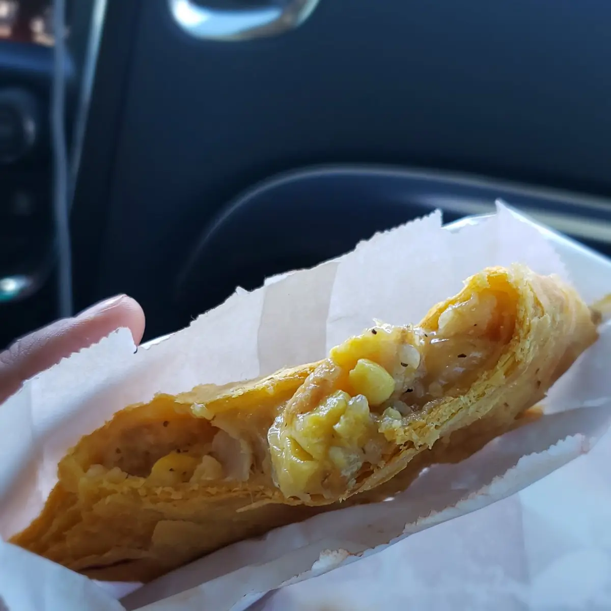 Curry Chicken Patty