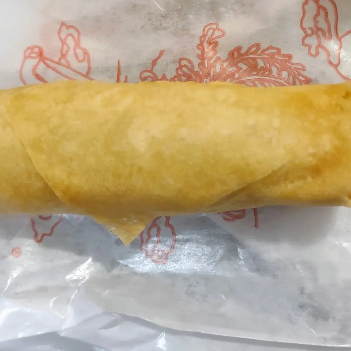 Vegetable Spring Roll 2